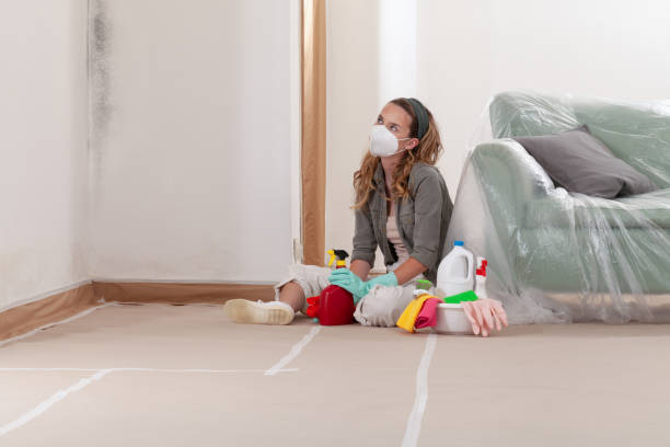 Reliable Mold Removal contractor in Lincoln, MA by Car Mold Remediation